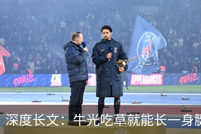 深度长文：牛光吃草就能长一身腱子肉，人为什么不行？